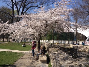 IMG_0965