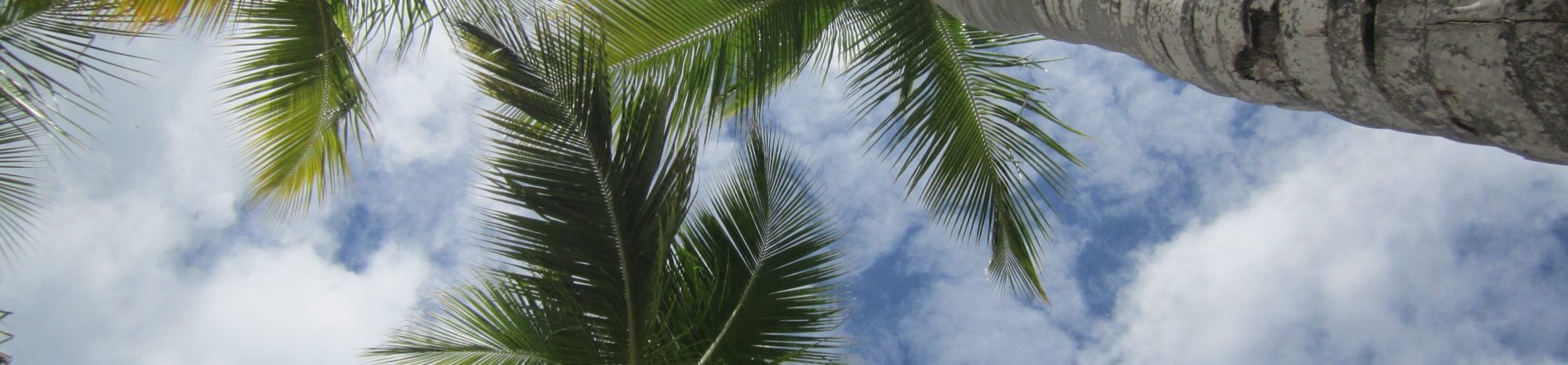 Barceló Bávaro Palace Deluxe : un complexe pour tous les goûts !!!