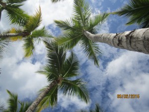IMG_2552