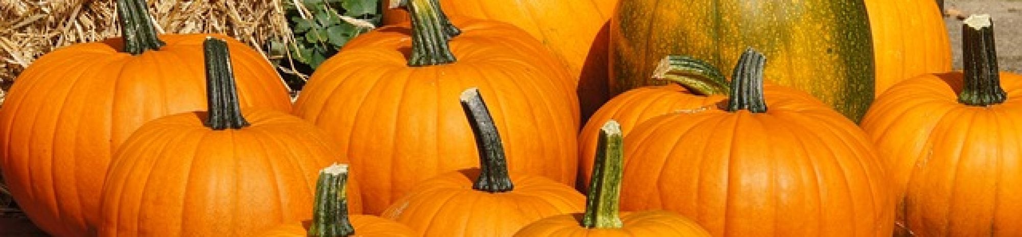 L’Halloween, les légendes, les citrouilles… et le Barmbrack !