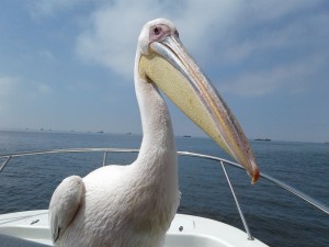 20160322_053419