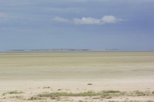 DSC_2252 - copie