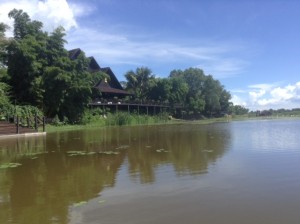 IMG_1228