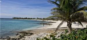 photoEscudo_Playas_certificadas_de_Quintana_Roo_PLAYAS_DE_QUINTANA_ROO_MAIN