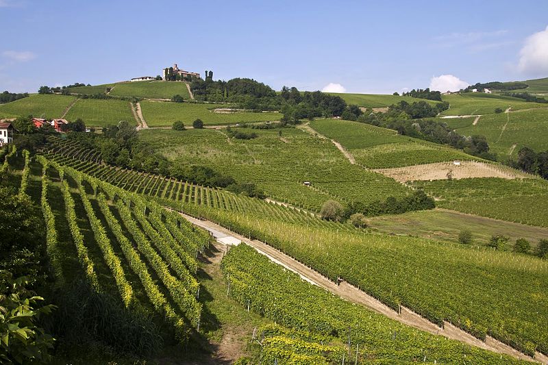 actualites_oenotourisme-langhe