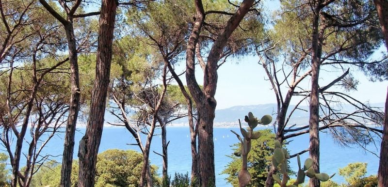 Tour: Nice and the Fragrances of the French Riviera