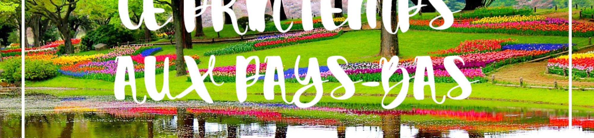 Le printemps aux Pays-Bas