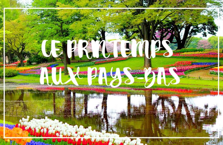 artculture_keukenhof