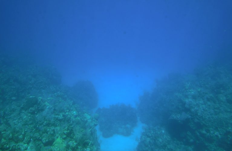 dscn0796