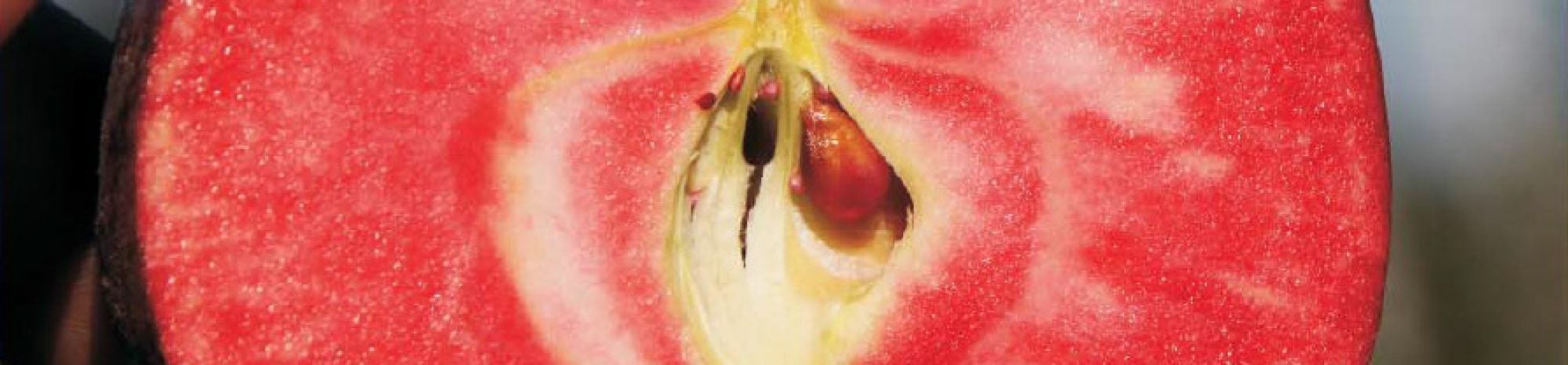 5 fruits insolites qui existent vraiment