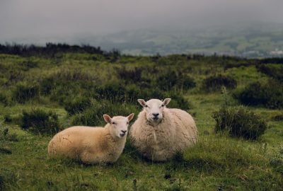 Circuit l&rsquo;Irlande Verte