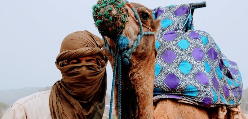 Marrakech, le Haut Atlas et l’Atlantique
