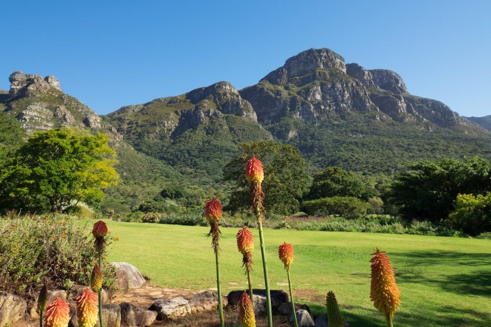 Jardin, voyage Afrique du sud