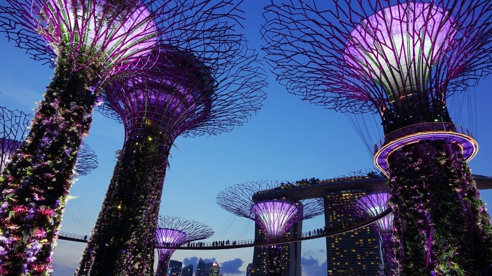 Jardin, voyage Singapour