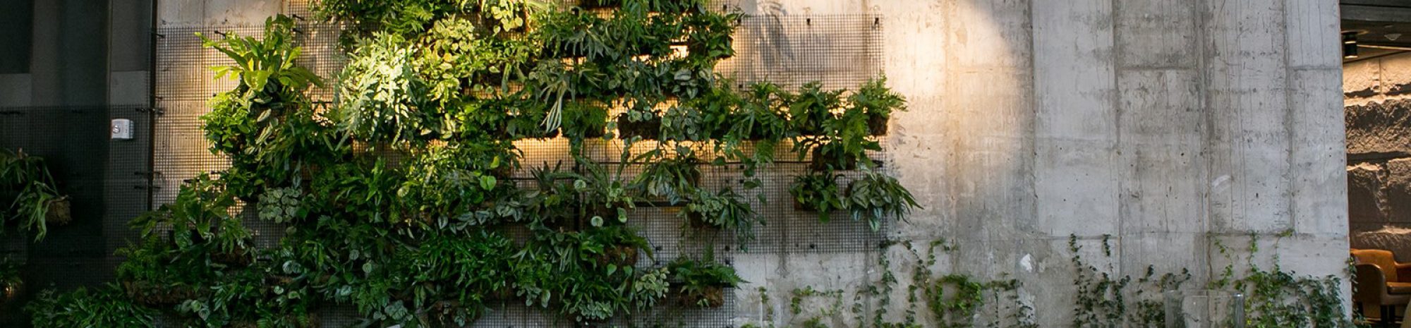 Des hôtels qui veulent du bien à notre planète