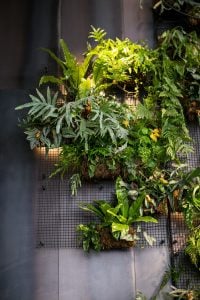 1 hotels - Nyew York Lobby