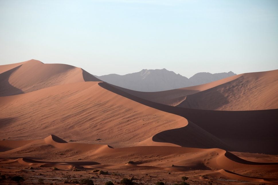 Safari Namibie