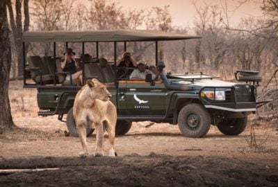 Safari en Afrique en Jet privé