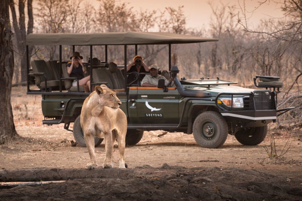 Voyage Safari Afrique