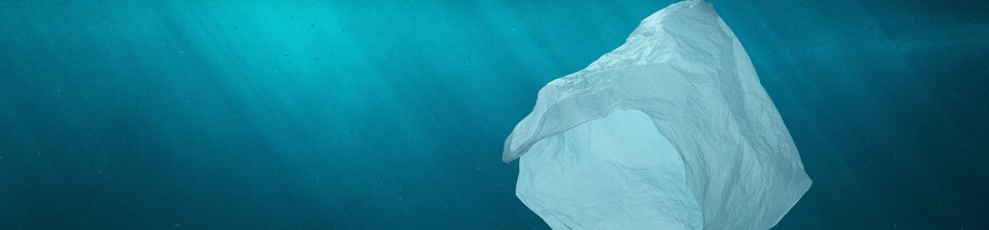 Un engagement durable contre le plastique dans le monde des croisières