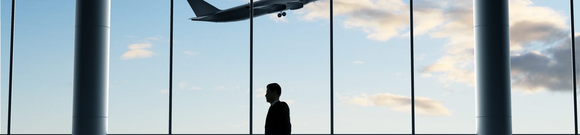 Survivre au voyage en avion