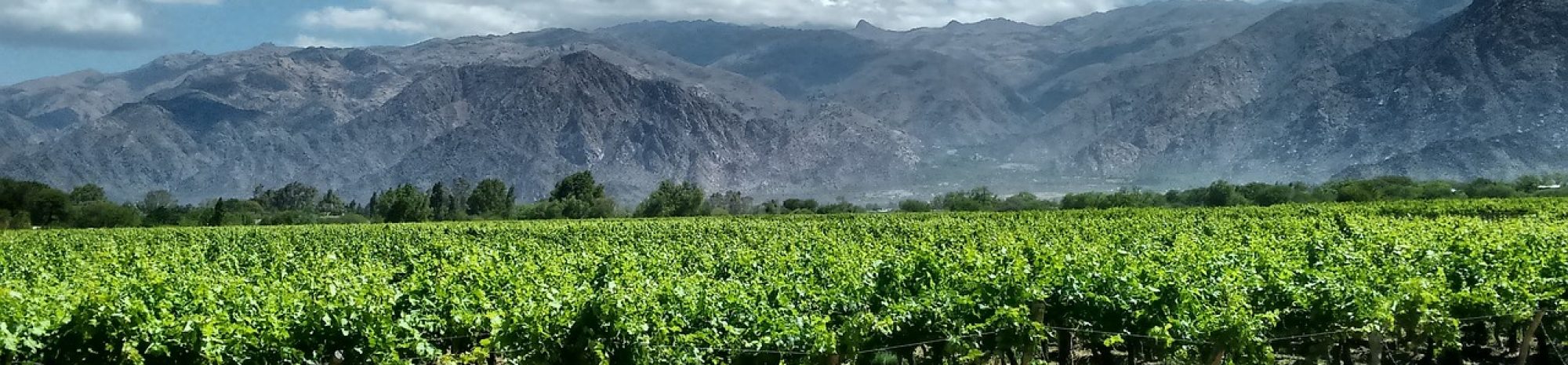 10 Reasons to Pack Your Bags for Argentina