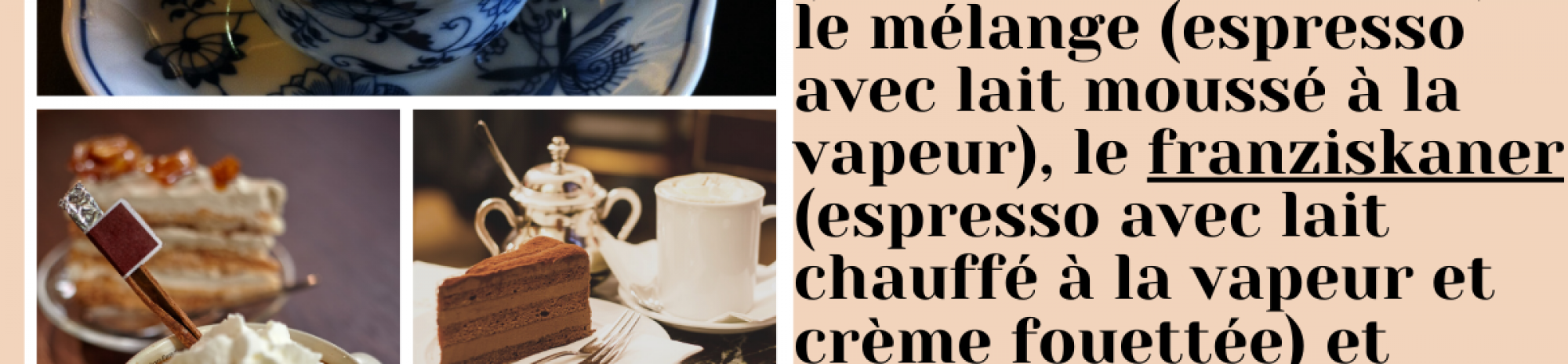 La culture des cafés viennois