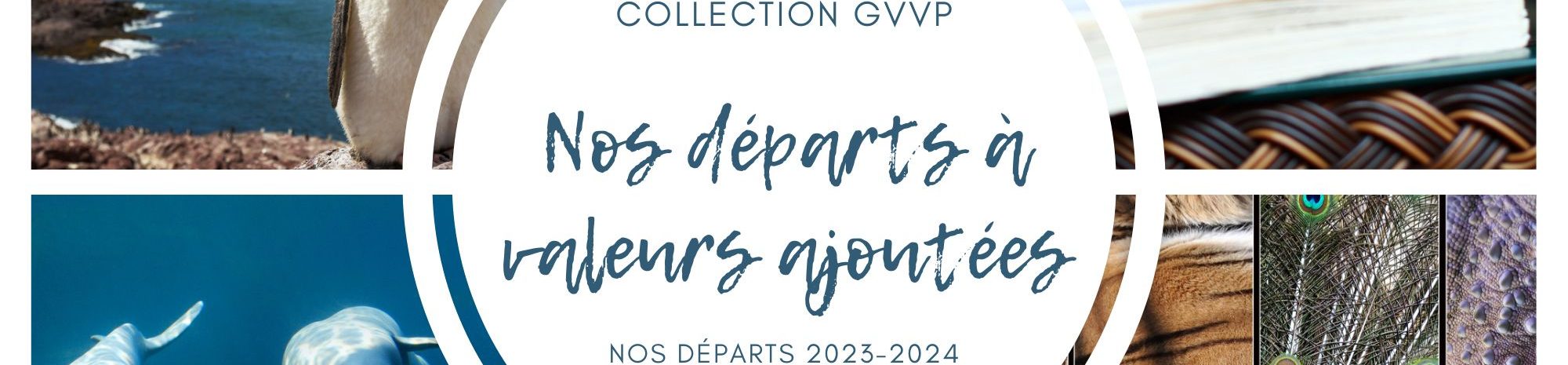 Les départs spéciaux de Ponant 2023 2024