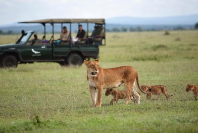 Trésors de Tanzanie, un safari spectaculaire
