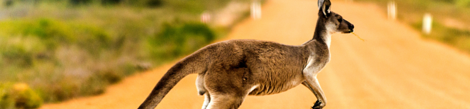 Récit de voyage en Australie par Nathalie et Charles